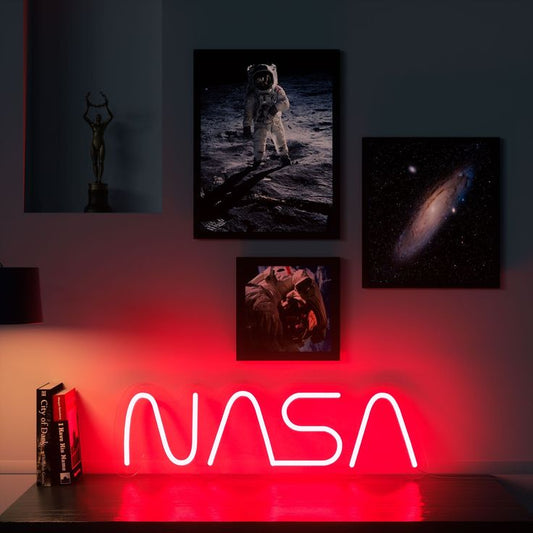 NASA 10